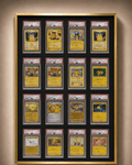 16 Grid Aluminium Trading Card Display Frame Case | PSA, BGS & One Touch | Pokémon • MTG • Yu-Gi-Oh • One Piece • Sports Cards - The Card Collective