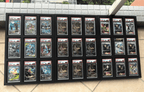 Modular Trading Card Display Frame Case | PSA & BGS | Pokémon • MTG • Yu-Gi-Oh • One Piece • Sports Cards - The Card Collective