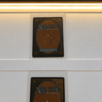 Toploader 2 Card Trading Card Display Frame Case – Custom Lumen Slide I LED Frame | Pokémon • MTG • Yu - Gi - Oh • One Piece • Sports Cards - The Card Collective