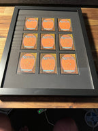50–56 Card Raw Trading Card Display Frame Case – Custom Frame | Pokémon • MTG • Yu - Gi - Oh • One Piece • Sports Cards - The Card Collective
