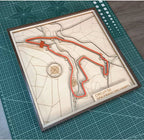 Shanghai Circuit Wall Art | Laser Engraved Wood • Chinese GP • Motorsport Gift - The Card Collective