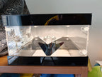 Premium Dual-Lit LED Acrylic Display Case | Dustproof Display Box & Shelf for LEGO, Statues, Models & Memorabilia - The Card Collective